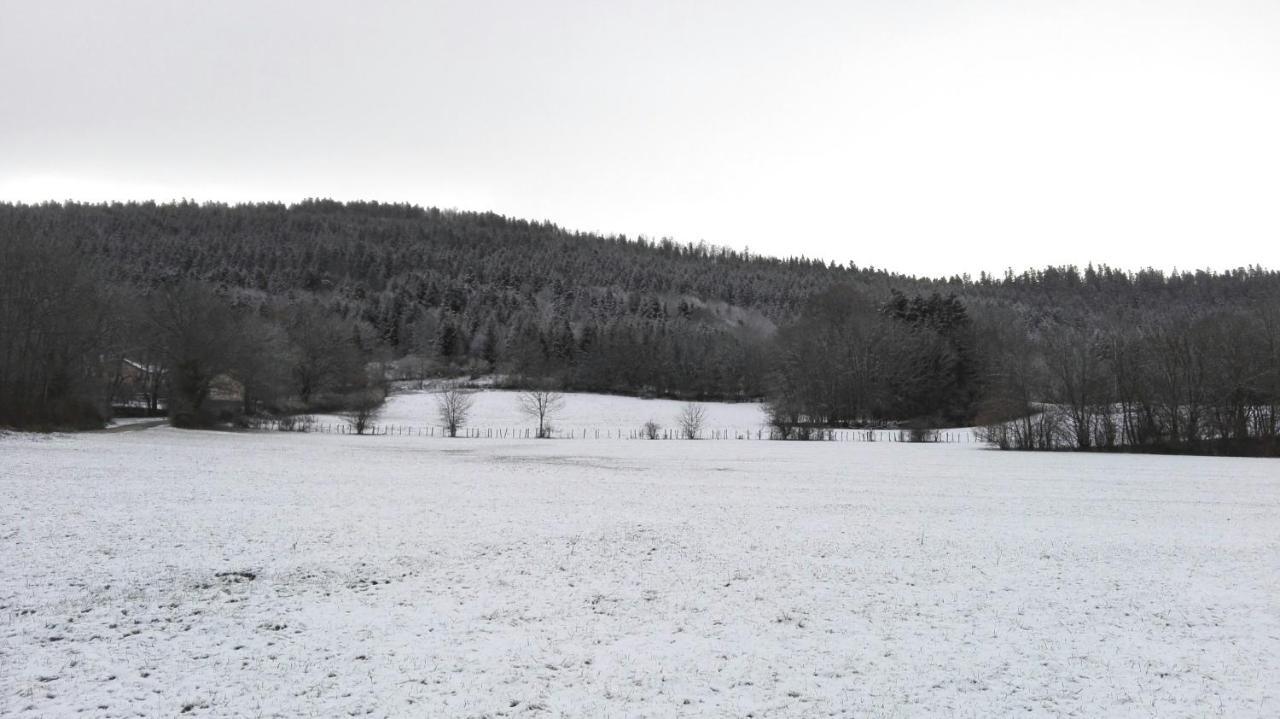 L'Appart De Lones Leilighet Hauteville-Lompnes Eksteriør bilde